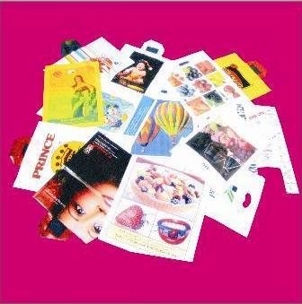Printing Shopping Bag Manufacturer Supplier Wholesale Exporter Importer Buyer Trader Retailer in Raipur  India